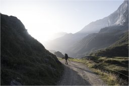 Au petit matin